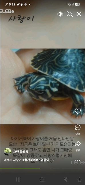 거북이 사료중 최고인거는 어떠거죠! 궁금 합니다.의 0번 째 이미지