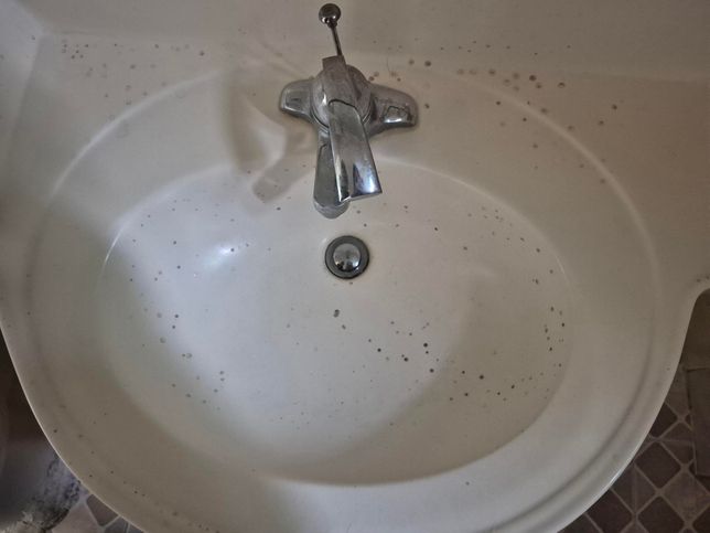 화장실 세면대 곰팡이 어떻게 제거해야할까요?의 0번 째 이미지
