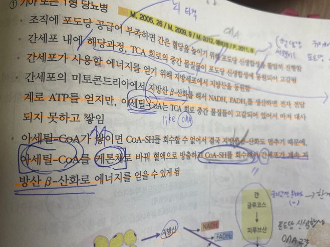 생물 케톤체 아세틸 coa coa sh의 0번 째 이미지