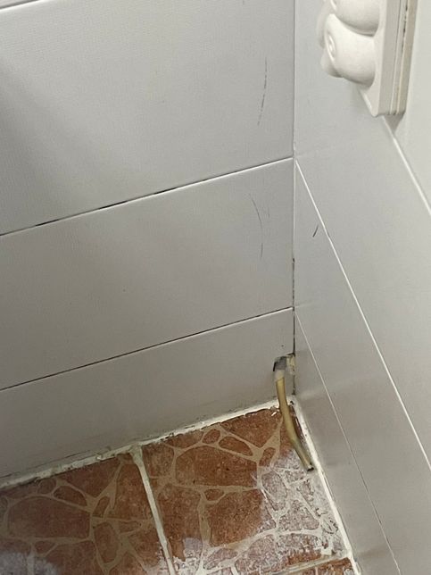 화장실에 있는 이 배수관???이 대체 뭘까요?의 0번 째 이미지