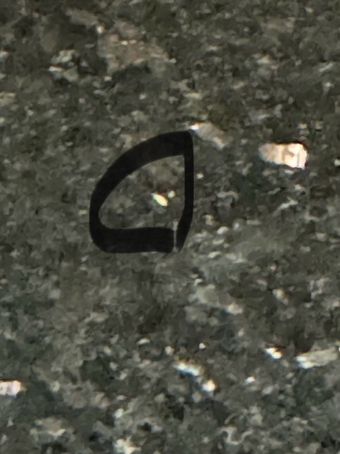 요근래 화장실에 아주 작고 실처럼 생긴게 기어다는데 무슨 벌레일까요?? 사진있음의 0번 째 이미지