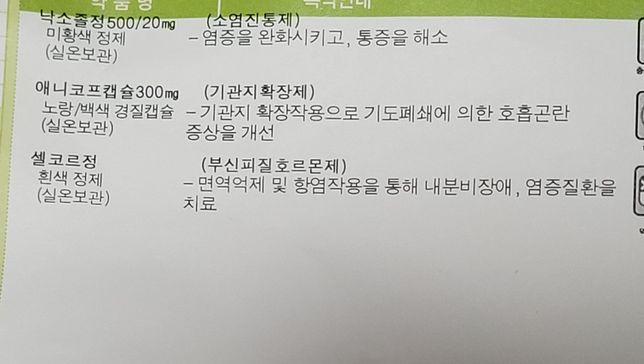 열감기 약을 타왔는데 타이레놀 교차복용 가능한가요?의 0번 째 이미지