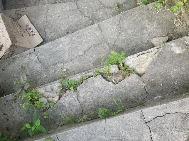 시멘트 계단 보수 방법 및 재료에 대해서 물어봅니다ㅠㅠ의 1번 째 이미지