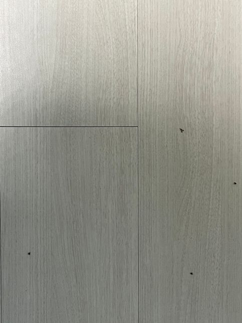 집에 죽어있는 작은 벌레들, 무슨 벌레인가요?의 0번 째 이미지