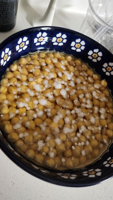 병아리콩 상온에서 물에 불린지 하루됐는데 상한건가요?의 1번 째 이미지