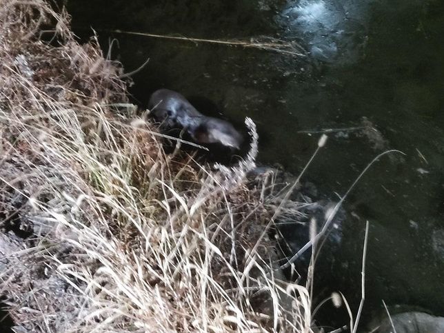 범인을 조사해서 잡으려면 사람이 없는 자리에서도 단서를 찾아야 되나요?의 0번 째 이미지