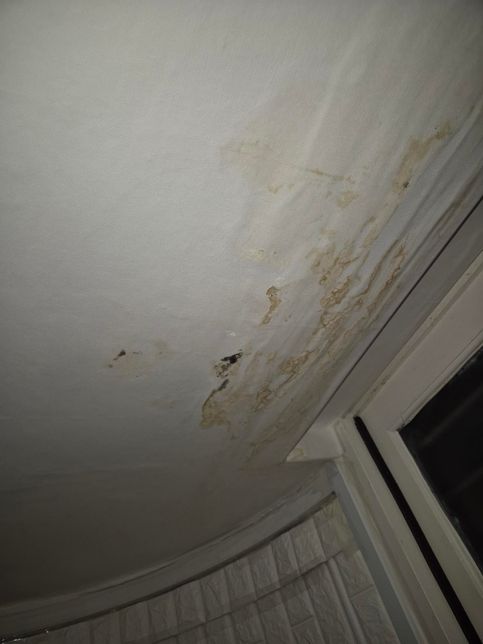 지금 천장에서 물이 떨어지고 있는데...의 2번 째 이미지