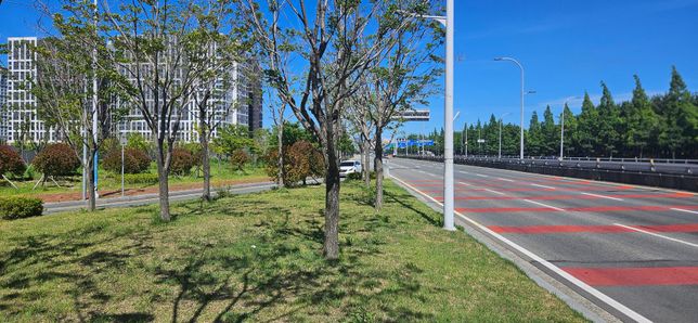 나무 이름 질문드립니다. 3종류에요.의 1번 째 이미지