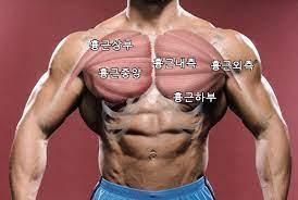 윗가슴 자극 어떻게 뽑아내면 좋을까요?의 0번 째 이미지