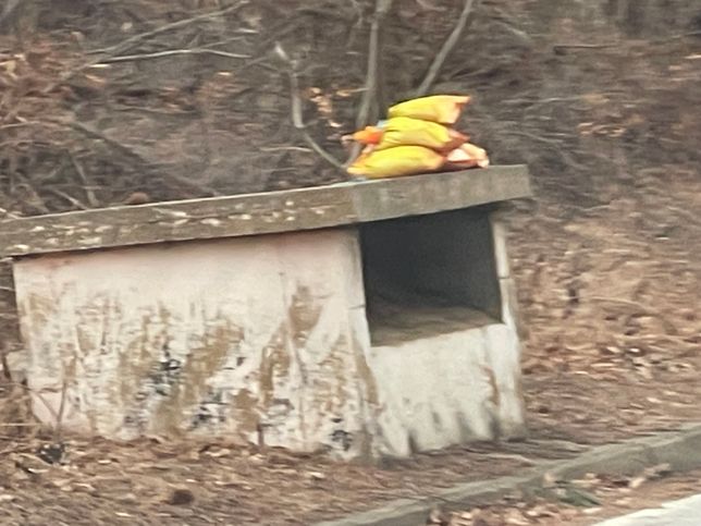 차 타고 놀러가는 길, 길가에서 이런 것을 봤는데 ... 뭔지 아시나요?의 2번 째 이미지