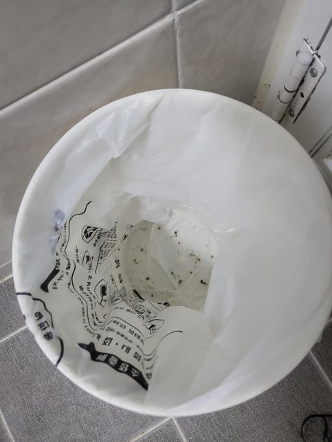 휴가 갔다왔는데 곰팡이기 핀 거 같아요의 3번 째 이미지