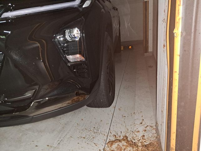 새 차에 토사물을 쏟고 간 사람에게 할 수 있는 조치는?의 1번 째 이미지