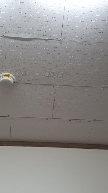 사무실 텍스 석면인지 봐주세요. 천장에 가루가날리는것같아요의 0번 째 이미지