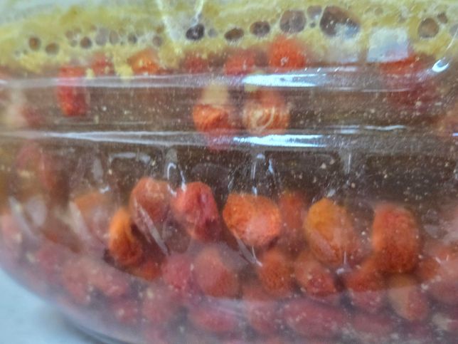 보리수 효소 곰팡이가 핀듯 한데요 먹을수 있는것인가요?의 0번 째 이미지