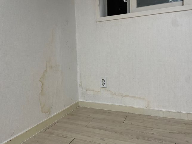 벽지 이렇게 된거 집주인이 뭐라 할까요?의 0번 째 이미지