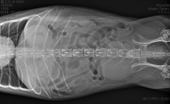 순차적으로 고관절 에 관해 봐주시기 부탁드립니다.의 0번 째 이미지