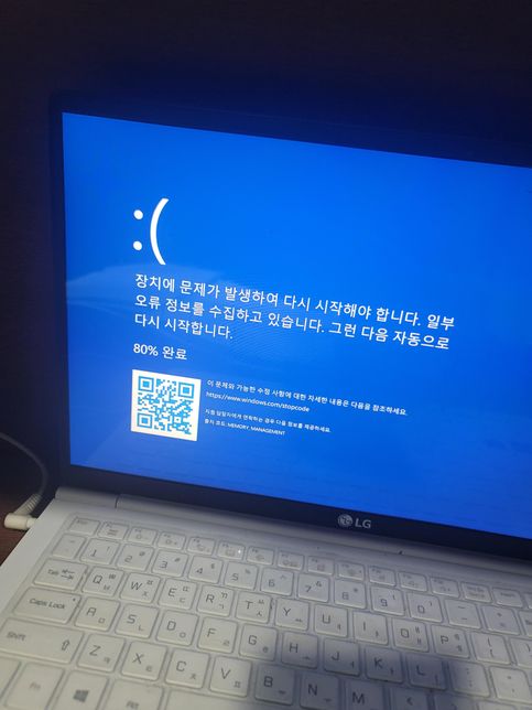 갑자기 화면이 꺼지면서 블루스크린이의 0번 째 이미지