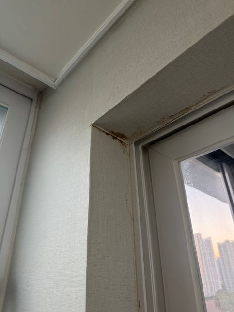 사진으로만 보기엔 힘들겠지만 97년대 아파트 탑층 결로일까요 천장누수 일까요?의 0번 째 이미지