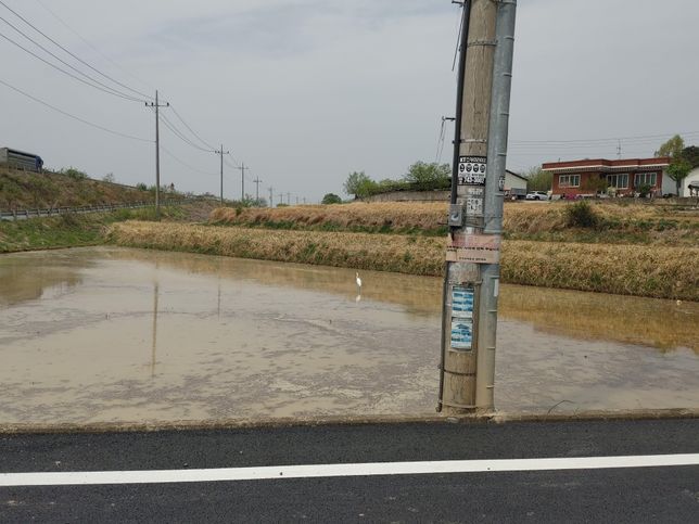 시골에 폐가와 시멘트 바닥들이 왜 세월이 지나도 쓰레기만 쌓인 채 아무렇지도 않게 방치되어있나요?의 1번 째 이미지