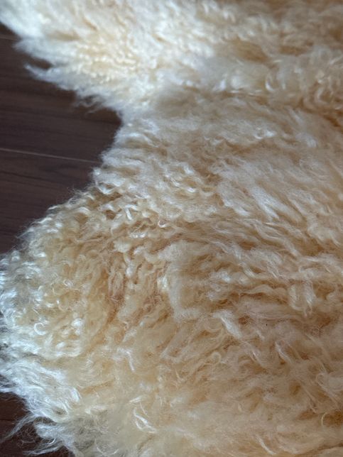 천연 양모 러그를 관리 못해서 상태가 안좋은데의 1번 째 이미지