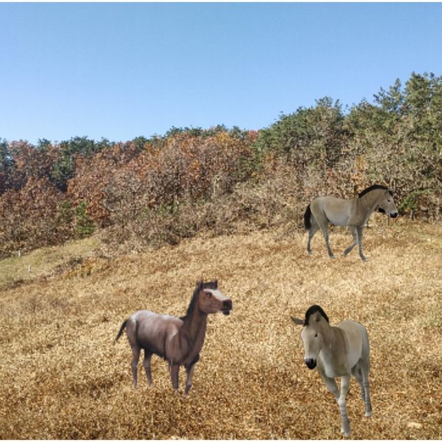 몸집이 큰 고대말 히파리온(Hipparion)은 왜 선사시대 때 살았던 말 중에서 널리 알려질 만큼 화석이 많이 발견되었나요?의 2번 째 이미지