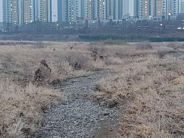 지구온난화로 북극에 얼음이 녹아서 내려간 제트기류 때문에 봄에 꽃샘추위가 길어졌나요?의 1번 째 이미지