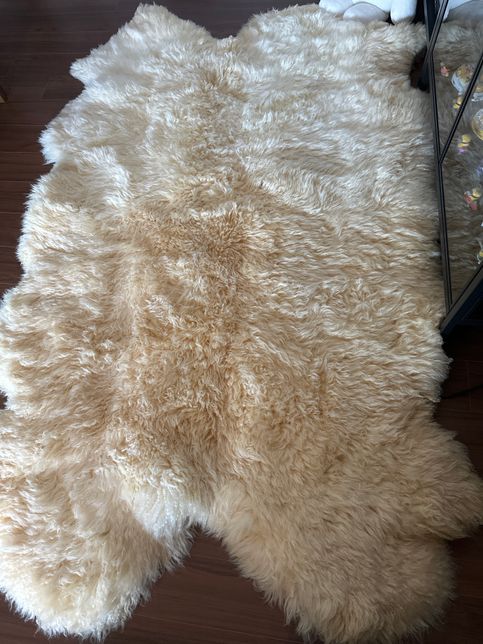 천연 양모 러그를 관리 못해서 상태가 안좋은데의 0번 째 이미지
