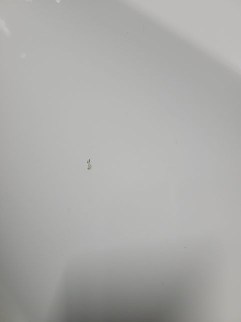 문콕 당해서 이거 자체수리 어떻게 해야할까요의 0번 째 이미지