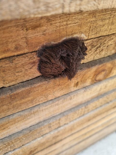 이것은 뭔가요? 알려주시면 감사하겠습니다의 0번 째 이미지