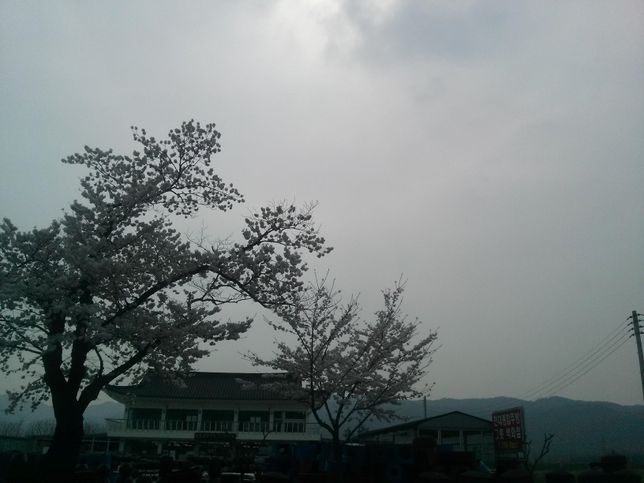 3월에 구름껴서 비오고 습해졌는데 머리가 어지럽거나 몸이 찌뿌둥한 이유가 무엇 때문인가요?의 0번 째 이미지