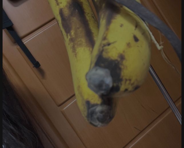 바나나 끝에 흰실같은 곰팡이 생겼는데 먹어도 되는건가요의 0번 째 이미지