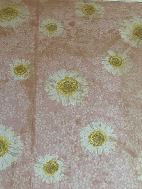 합지벽지 위에 얼룩 무엇일까요???의 1번 째 이미지