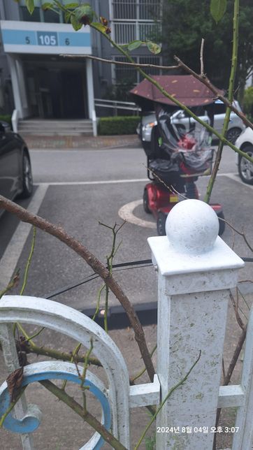 장애인 주차장에 세워진 이런이륜차는 신고가 가능한건가요?의 0번 째 이미지