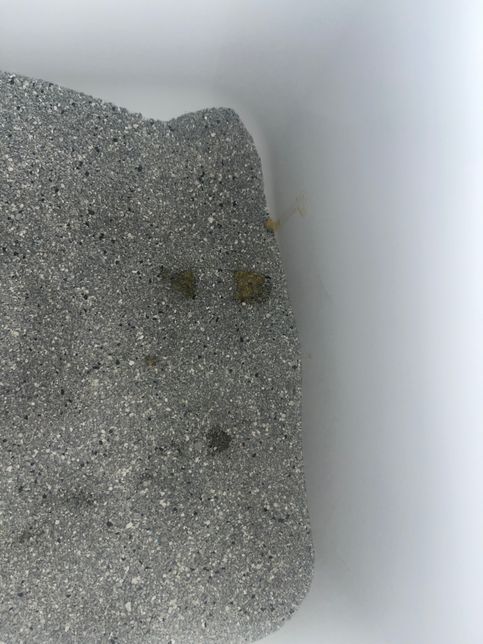 고양이가 새벽에 토했어요ㅠㅠㅠㅠㅠ의 0번 째 이미지