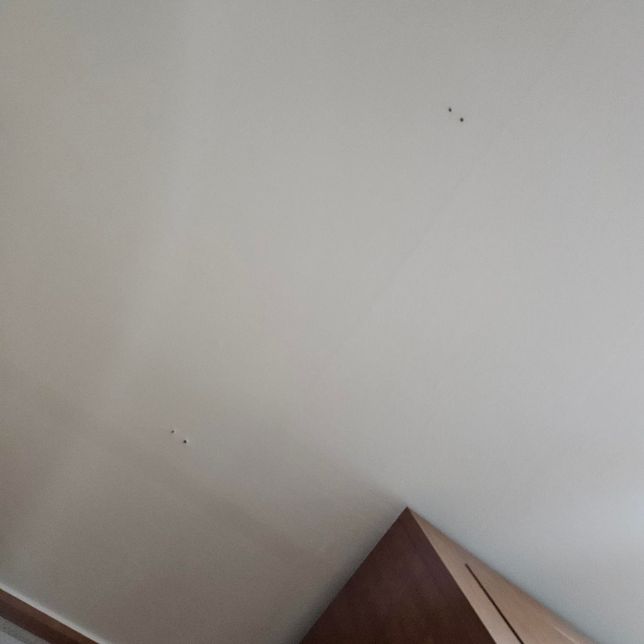 윗집에서 공사한다고 바닥에 구멍을 뚫었습니다의 1번 째 이미지