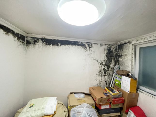 임차한 집이 하자가 너무심해 이사를 가게되었는데요 이경우 중개비, 이사비, 전세보증보험비용은 누가 부담해야하나요?의 0번 째 이미지