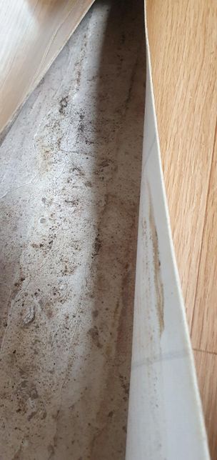 방 장판에 얼룩이 생기는 원인이 뭘까요?의 1번 째 이미지