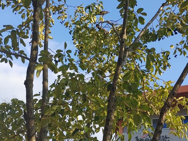 2025년 10월 말 새벽에 비가 그치고 11월 초에 왜 갑자기 추워졌어요?의 0번 째 이미지