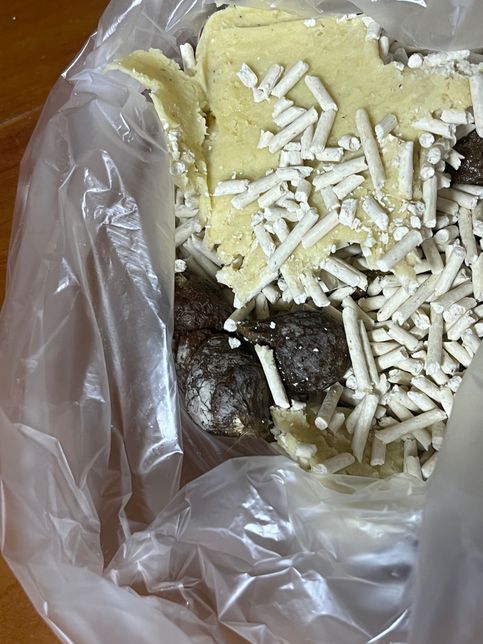 고양이 똥에 흰색이 묻어나옵니다 ..!의 1번 째 이미지