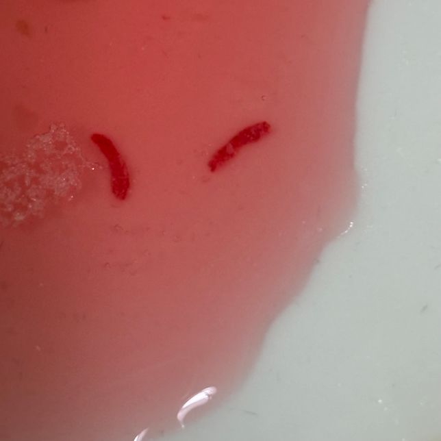 글루콤을 마시는데 이상한게 씹혀서 보니까 이런게 들어있어요 먹어도 상관없는건가요?의 0번 째 이미지