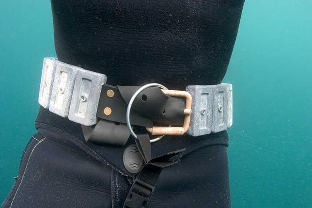 스킨스쿠버. 호수 바닥, 음성 부력, 납 무게.의 0번 째 이미지