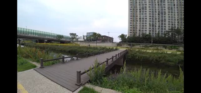 자전거도로 강아지와 비접촉사고 과실있을까요?의 0번 째 이미지