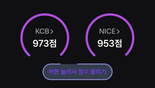 신용점수를 여기서 더 올릴 수 있는 방법의 0번 째 이미지