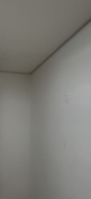 전세 퇴거시 벽지 훼손 보상 의무 문의의 건의 0번 째 이미지