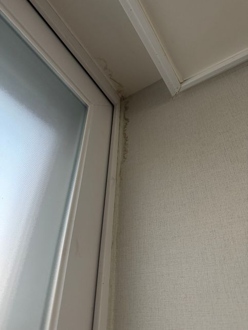 사진으로만 보기엔 힘들겠지만 97년대 아파트 탑층 결로일까요 천장누수 일까요?의 1번 째 이미지