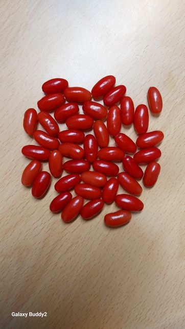 산수유 열매가 많이 달렸습니다.열매의 씨앗을 빼는방법과 어떻게해서 먹나요.한악재료라고하는데 어디에 좋나요?의 0번 째 이미지