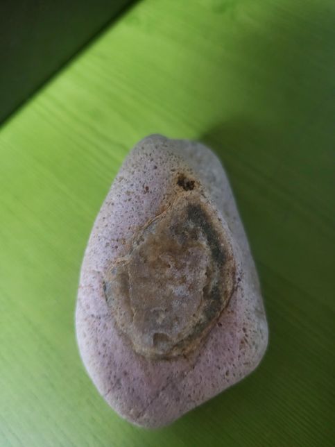 바다에서 돌을주웠는데 이게 무슨돌인가요의 1번 째 이미지