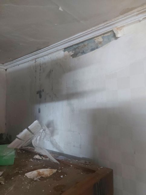 이게 윗집 화장실에서 누수인줄알았거든요의 0번 째 이미지