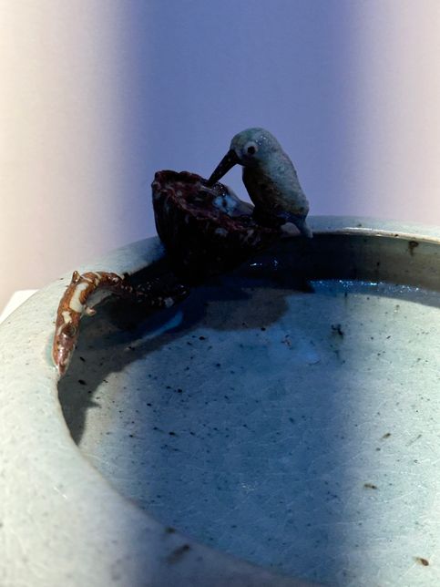 아이폰으로 전시장에서 사진 찍을 때 이상해요의 0번 째 이미지