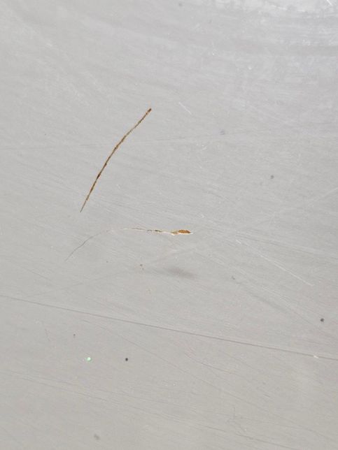 배달음식에 플라스틱 막대기가 나왔습니다. 음식점 신고와 피해구제에 관해 질문드립니다.의 0번 째 이미지